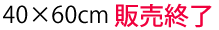 天板購入＋取付40×60
