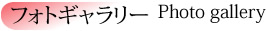 ページタイトル