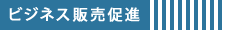 rWlX̔i